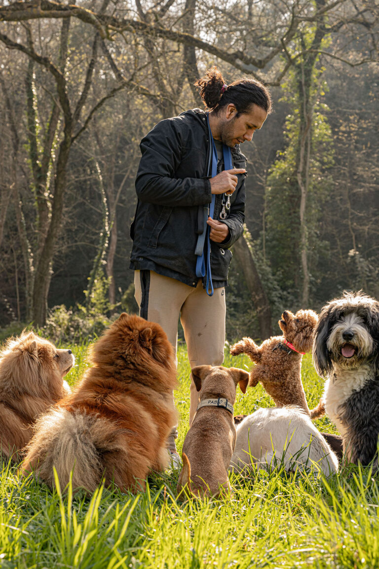 Dog walker entouré de chiens en pleine promenade dans un parc verdoyant près de Monaco.