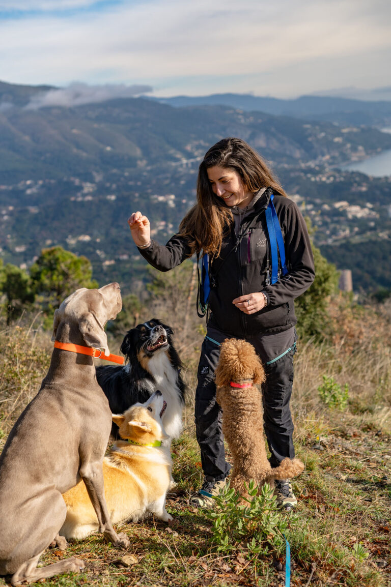 Dressage canin : une dog sitter donne une friandise à un chien attentif.