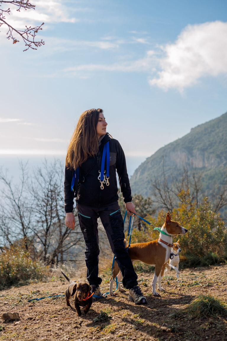 Balade canine au cœur d’un paysage montagneux avec une dog sitter et sa meute.