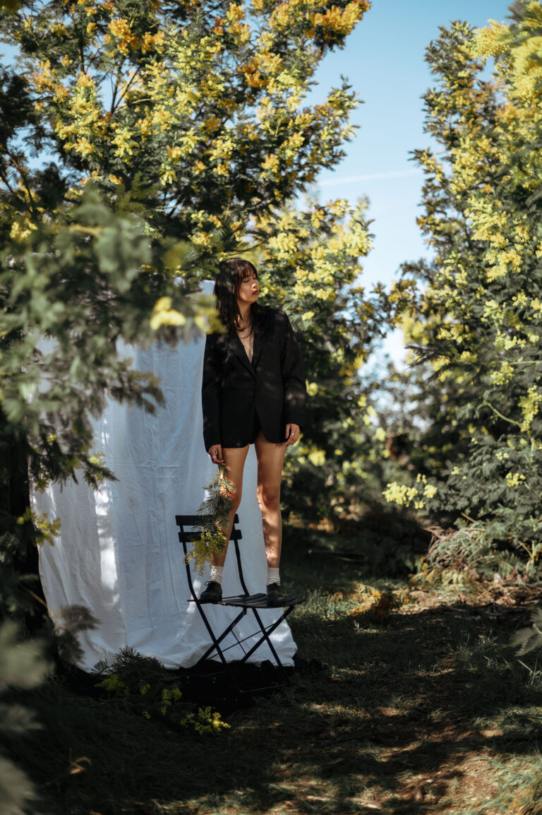 Image artistique sur fond noir en pleine forêt de mimosas.