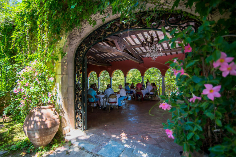 Repas convivial en plein air dans un domaine viticole.