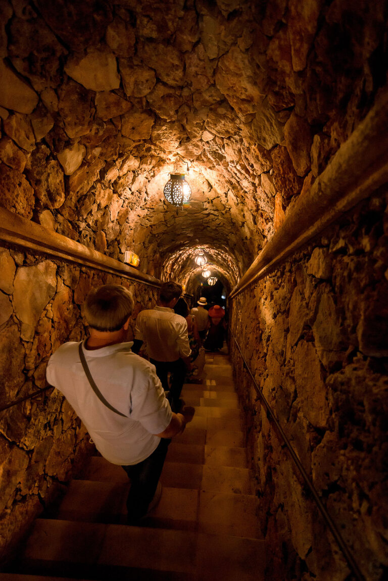 Visite guidée dans une cave à vin traditionnelle.